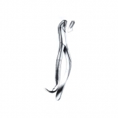 Extracting Forceps American Pattern